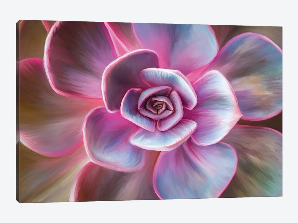 Pink Mandala by Juliana Loomer 1-piece Canvas Art Print