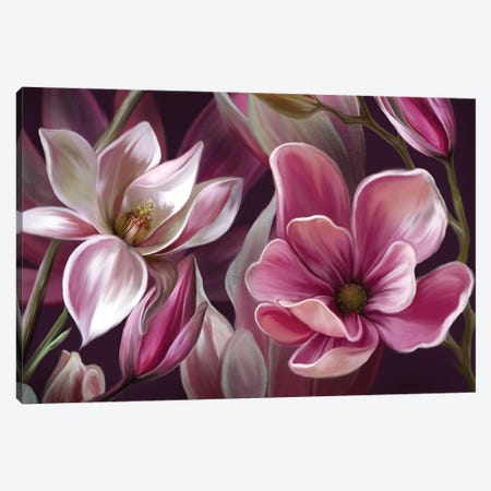Pink Magnolia Canvas Print #JLO39} by Juliana Loomer Canvas Art