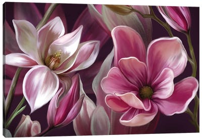 Pink Magnolia Canvas Art Print - Floral Close-Up Art