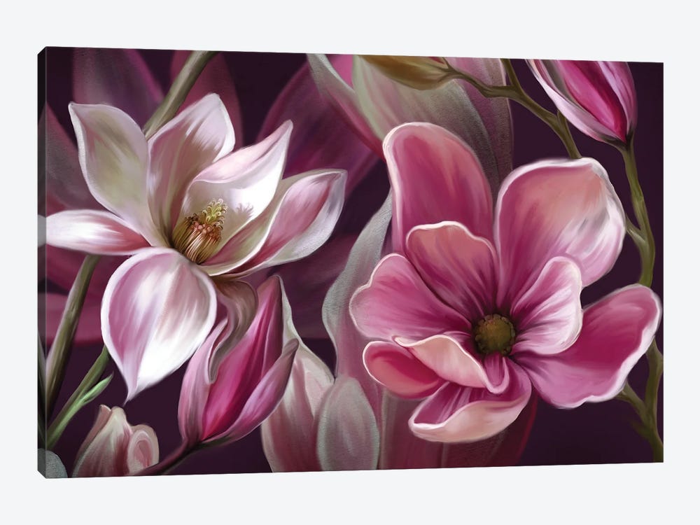 Pink Magnolia by Juliana Loomer 1-piece Canvas Art