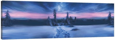 Arctic Blue Canvas Art Print