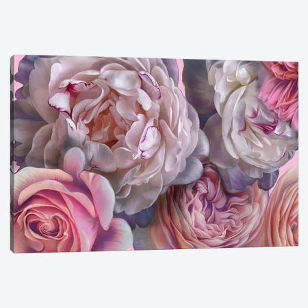 Pink Blush Canvas Print #JLO41} by Juliana Loomer Canvas Print
