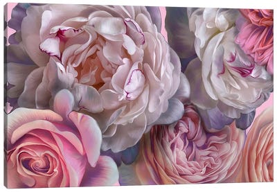 Pink Blush Canvas Art Print - Juliana Loomer