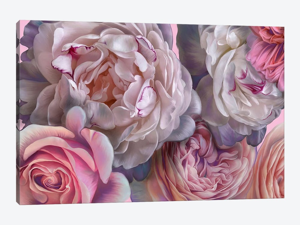 Pink Blush by Juliana Loomer 1-piece Canvas Print