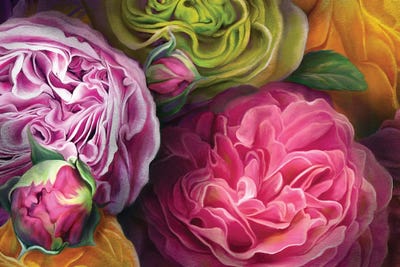 Antique Easter Roses by Juliana Loomer framed canvas print