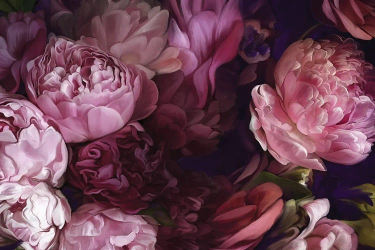 Summer Peonies by Juliana Loomer wall art