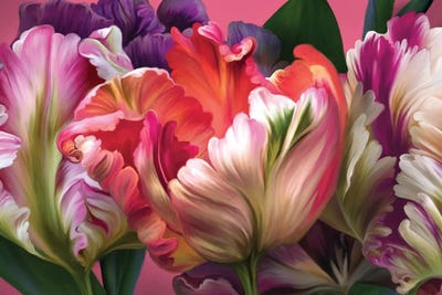 Tulip Mania by Juliana Loomer framed canvas print