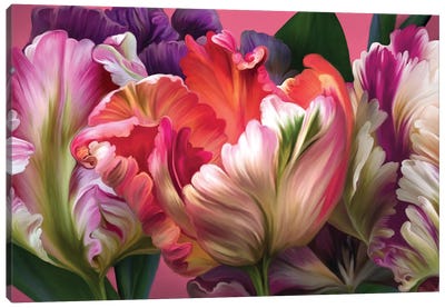 Tulip Mania Canvas Art Print - Juliana Loomer