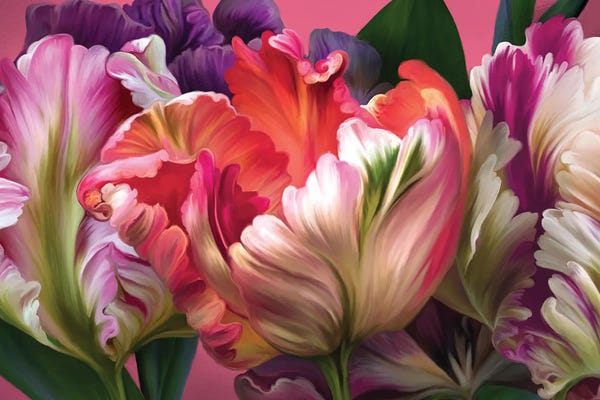 Tulips: Tulip Mania by Juliana Loomer