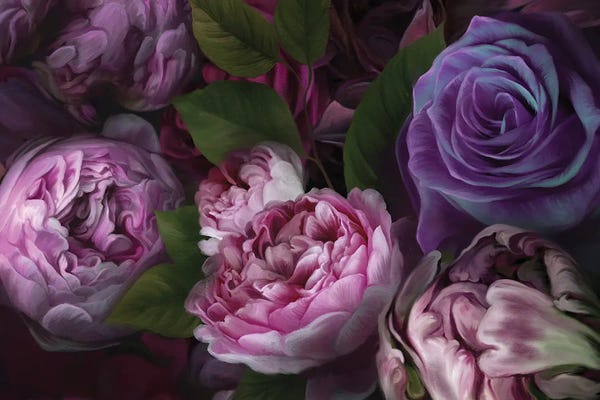 Floral Close-Ups: Violet Eden by Juliana Loomer