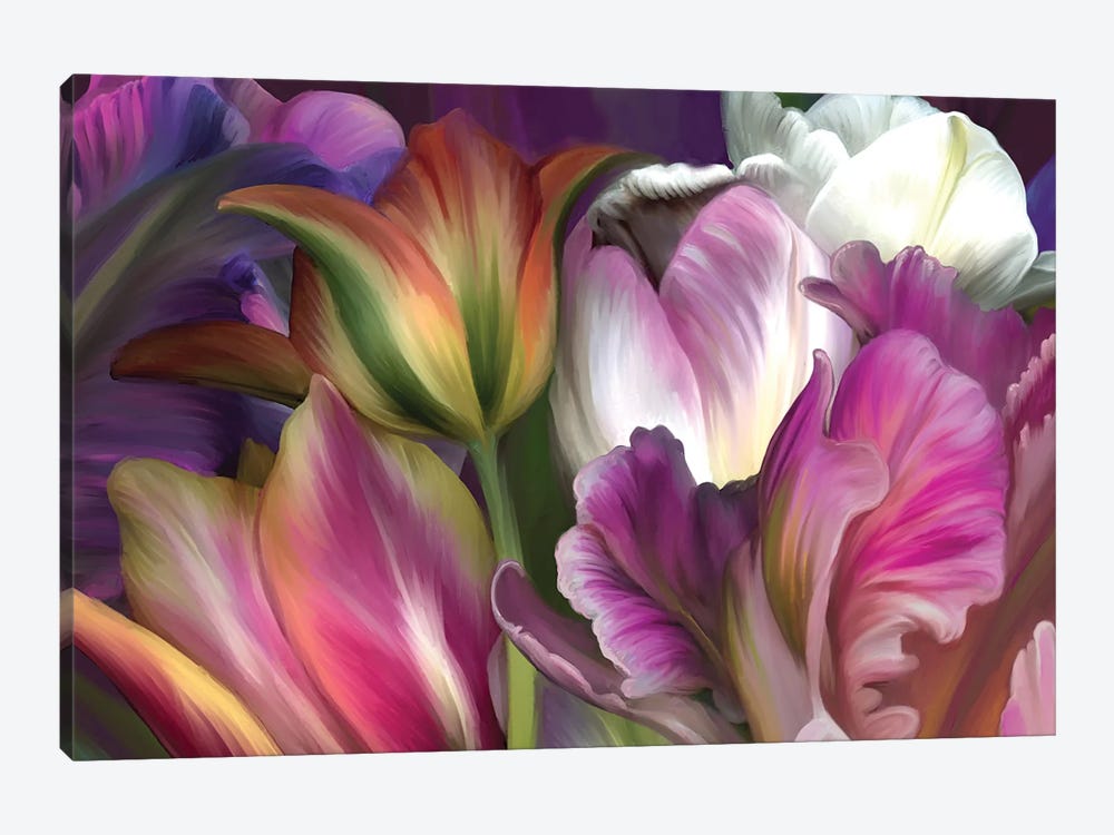Tulipa by Juliana Loomer 1-piece Canvas Wall Art