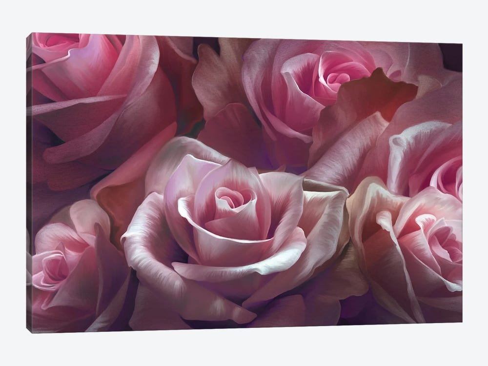 Pink Roses by Juliana Loomer 1-piece Canvas Art Print