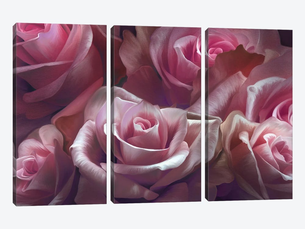 Pink Roses by Juliana Loomer 3-piece Canvas Art Print