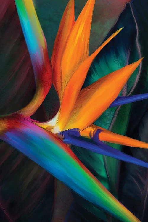Birds of Paradise by Juliana Loomer wall art