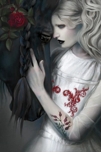 Black Beauty by Juliana Loomer canvas print