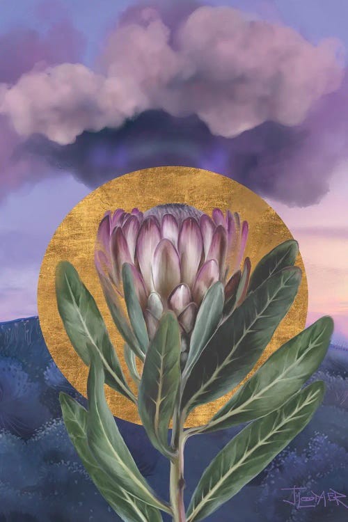 Purple Protea Rising by Juliana Loomer wall art
