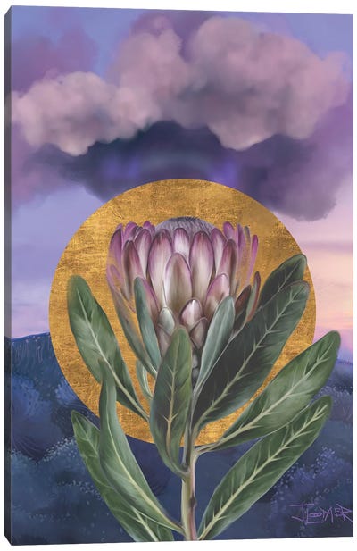 Purple Protea Rising Canvas Art Print - Protea