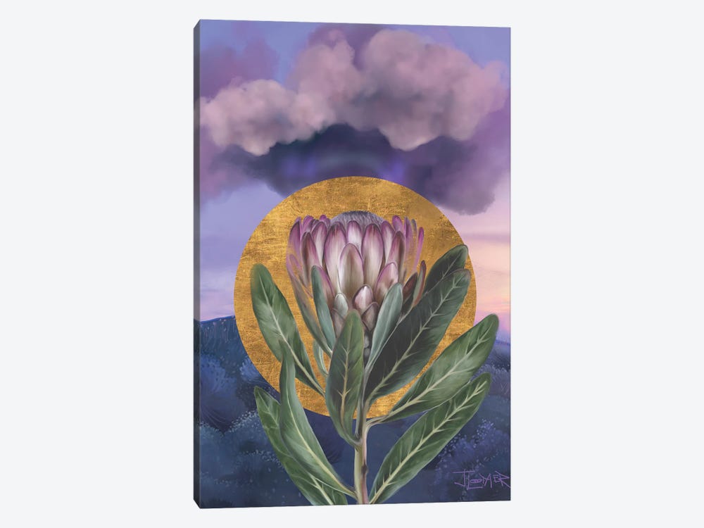 Purple Protea Rising by Juliana Loomer 1-piece Canvas Art Print