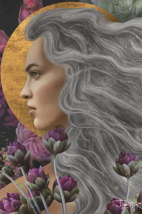 Silver Sun by Juliana Loomer wall art