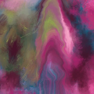 Pink Sky by Juliana Loomer canvas print