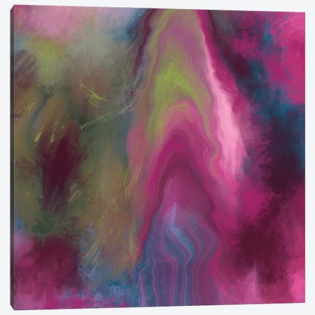 Pink Sky Canvas Print #JLO75} by Juliana Loomer Canvas Print