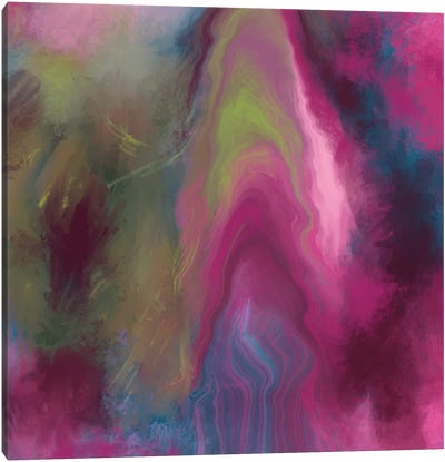 Pink Sky Canvas Art Print - Juliana Loomer