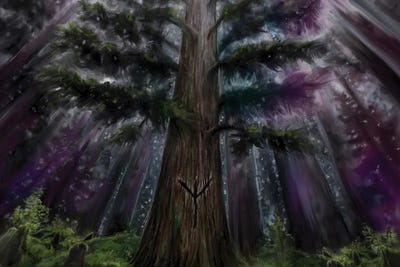 Tree Of Life by Juliana Loomer framed canvas print