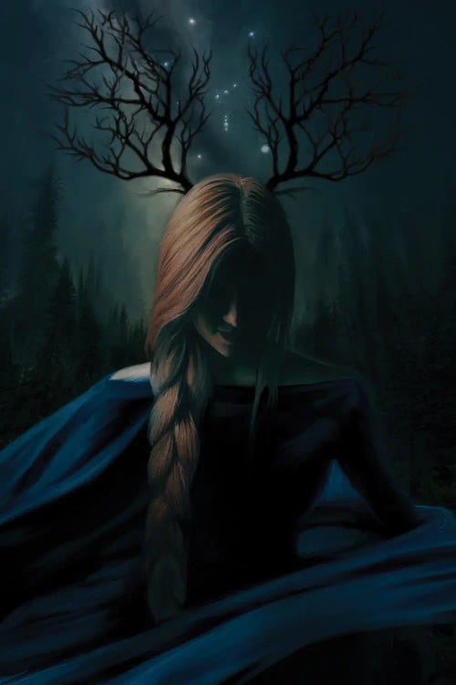 Night Dancer by Juliana Loomer wall art