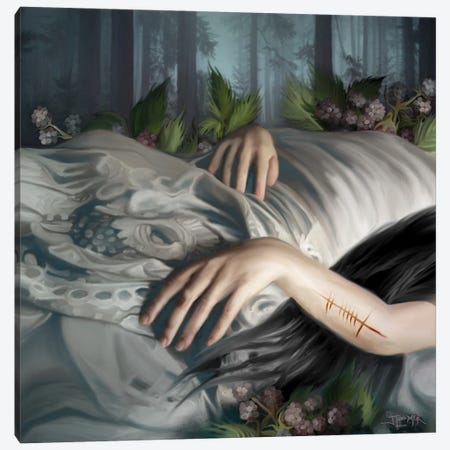 Sleeping Beauty Canvas Print #JLO94} by Juliana Loomer Art Print