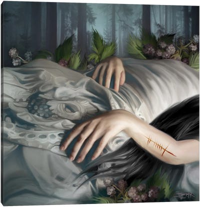 Sleeping Beauty Canvas Art Print - Juliana Loomer