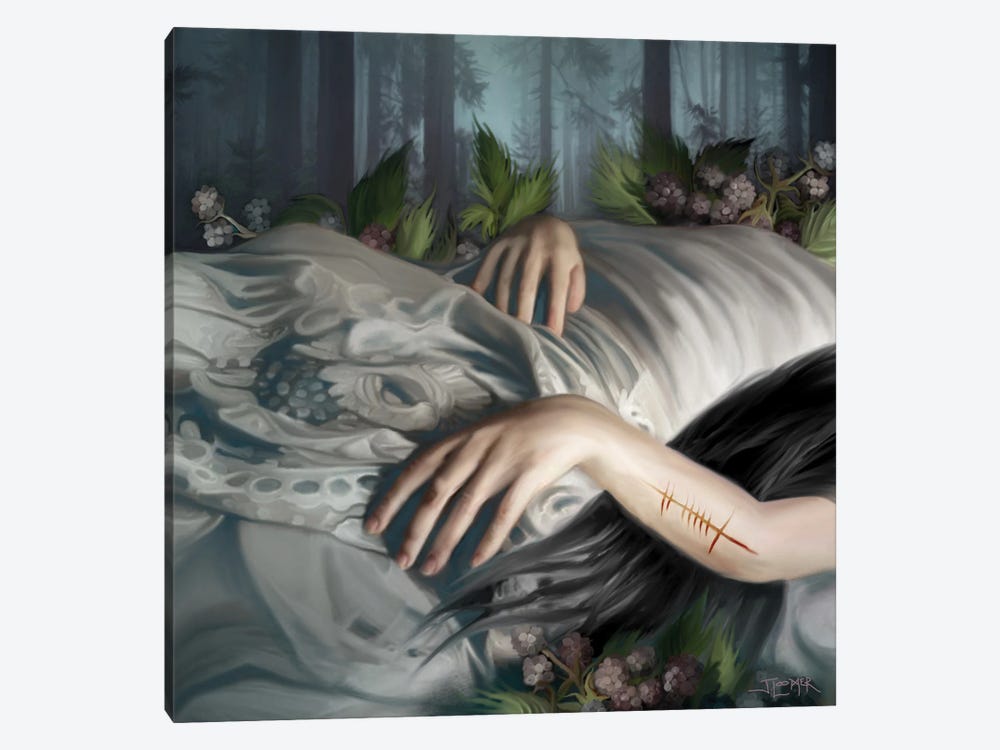 Sleeping Beauty by Juliana Loomer 1-piece Canvas Print