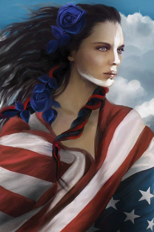Eagle Eye Patriot by Juliana Loomer wall art