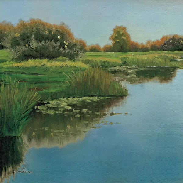 Ponds: Yellow Sky & Reflection by Julie Peterson