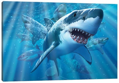 Great White 2 Canvas Art Print - Great White Sharks