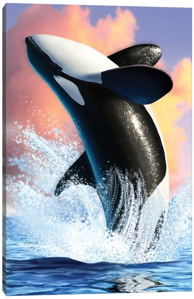 Orca I Canvas Art Print - Whale Art