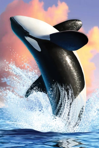 Jerry Lofaro: Orca I by Jerry Lofaro