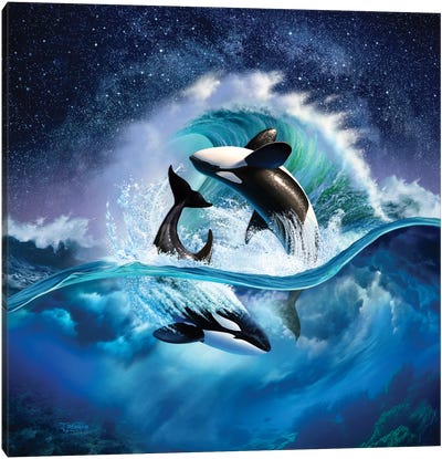 Orca Wave Canvas Art Print - Whale Art