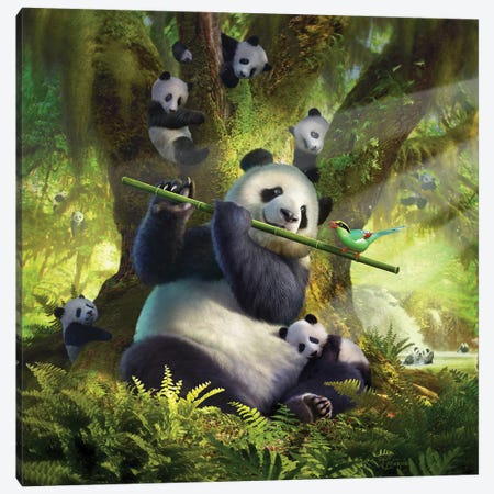 Panda Bear Canvas Print #JLR18} by Jerry Lofaro Canvas Art Print