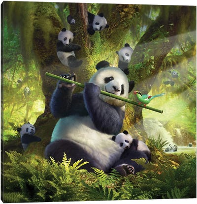 Panda Bear Canvas Art Print - Jerry Lofaro
