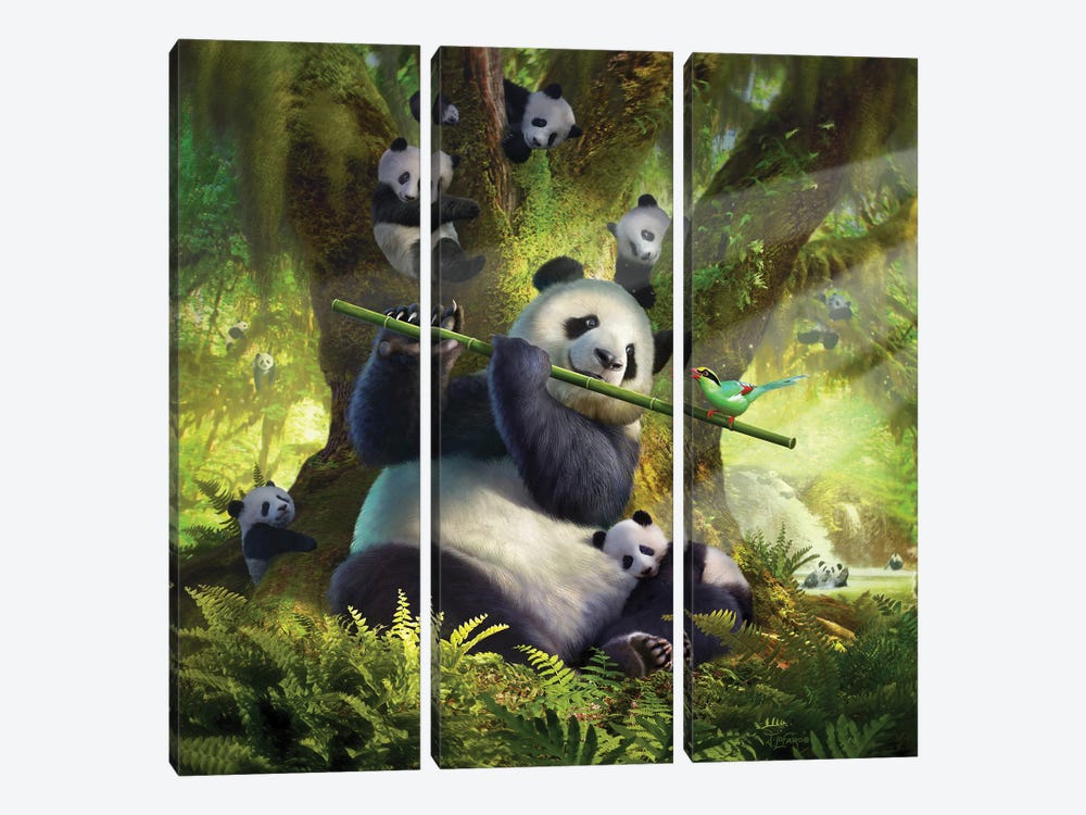 Panda Bear by Jerry Lofaro 3-piece Canvas Art Print
