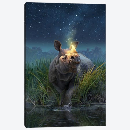 Rhinocerosunicornis Canvas Print #JLR22} by Jerry Lofaro Canvas Artwork