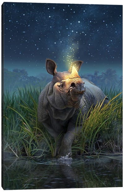 Rhinocerosunicornis Canvas Art Print - Jerry Lofaro