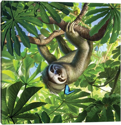 Rushhour Canvas Art Print - Sloth Art