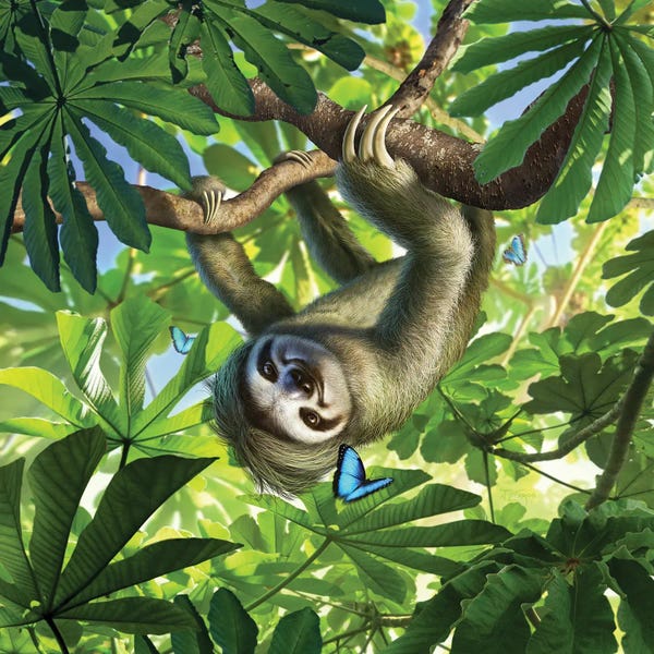 Sloths: Rushhour by Jerry Lofaro