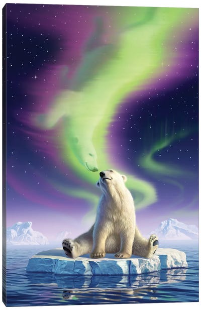 Arctic Kiss Canvas Art Print - Jerry Lofaro