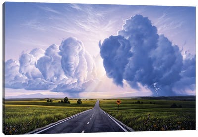Buffalo Crossing Canvas Art Print - Jerry Lofaro
