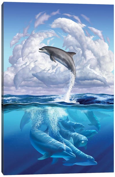 Dolphonic Symphony Canvas Art Print - Dolphin Art