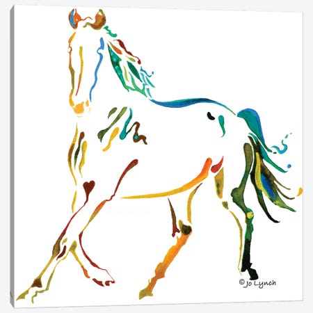 Horse Many Colors II Canvas Print #JLY101} by Jo Lynch Canvas Wall Art