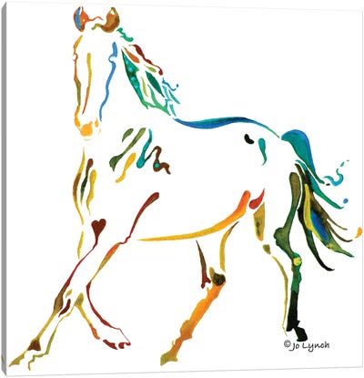 Horse Many Colors II Canvas Art Print - Jo Lynch