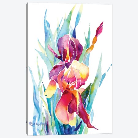 Iris Flower Canvas Print #JLY104} by Jo Lynch Canvas Art Print